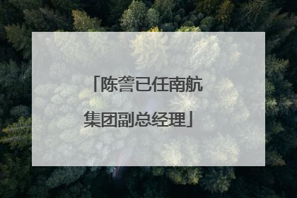 陈詟已任南航集团副总经理