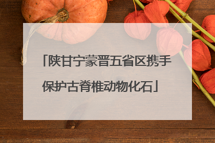 陕甘宁蒙晋五省区携手保护古脊椎动物化石