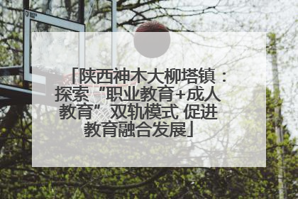 陕西神木大柳塔镇：探索“职业教育+成人教育”双轨模式 促进教育融合发展