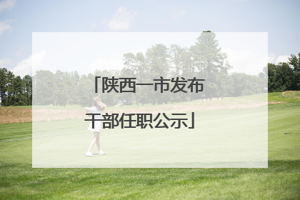 陕西一市发布干部任职公示