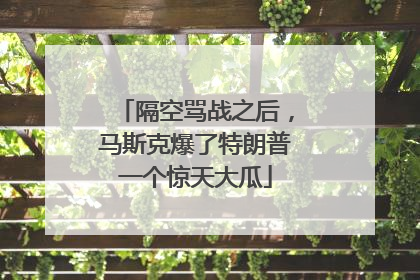 隔空骂战之后，马斯克爆了特朗普一个惊天大瓜