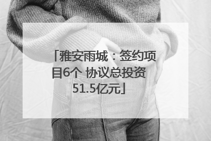 雅安雨城：签约项目6个 协议总投资51.5亿元