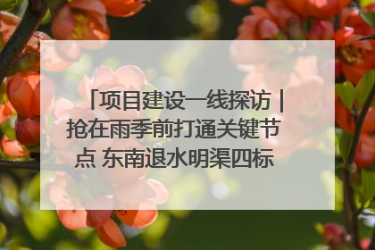 项目建设一线探访｜抢在雨季前打通关键节点 东南退水明渠四标段项目顺利完工