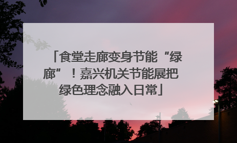 食堂走廊变身节能“绿廊”！嘉兴机关节能展把绿色理念融入日常