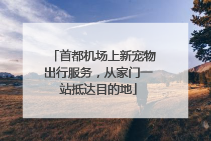 首都机场上新宠物出行服务，从家门一站抵达目的地