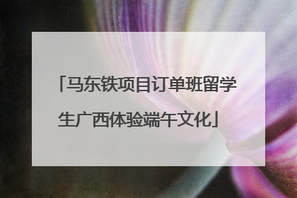 马东铁项目订单班留学生广西体验端午文化
