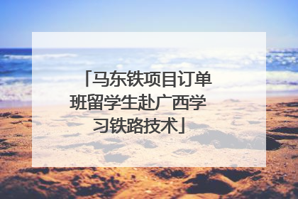 马东铁项目订单班留学生赴广西学习铁路技术