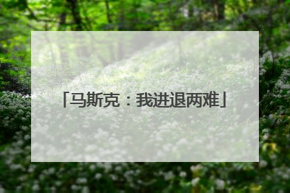 马斯克：我进退两难