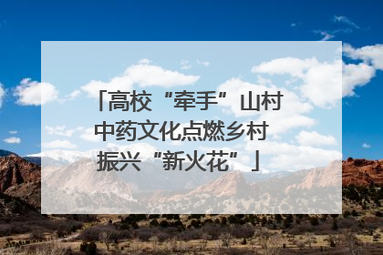 高校“牵手”山村 中药文化点燃乡村振兴“新火花”
