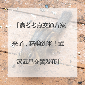 高考考点交通方案来了，精确到米！武汉武昌交警发布