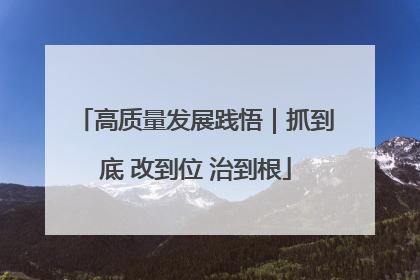 高质量发展践悟｜抓到底 改到位 治到根