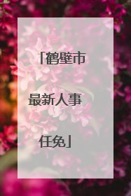 鹤壁市最新人事任免