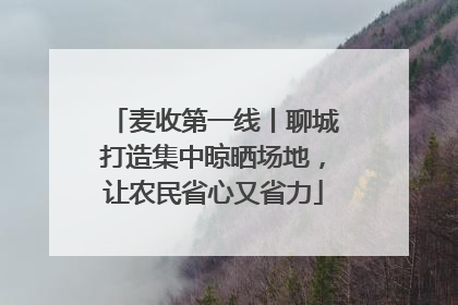 麦收第一线丨聊城打造集中晾晒场地，让农民省心又省力