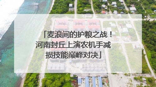 麦浪间的护粮之战！河南封丘上演农机手减损技能巅峰对决