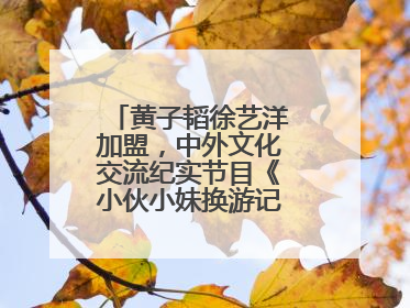 黄子韬徐艺洋加盟，中外文化交流纪实节目《小伙小妹换游记》六月上线