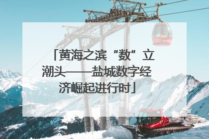 黄海之滨“数”立潮头——盐城数字经济崛起进行时