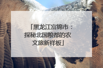 黑龙江富锦市：探秘北国粮都的农文旅新样板
