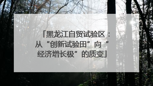 黑龙江自贸试验区：从“创新试验田”向“经济增长极”的质变