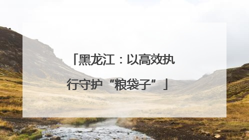 黑龙江：以高效执行守护“粮袋子”