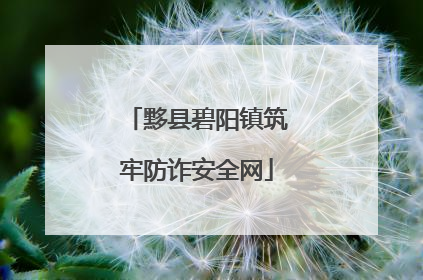 黟县碧阳镇筑牢防诈安全网