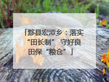 黟县宏潭乡：落实“田长制” 守好良田保“粮仓”