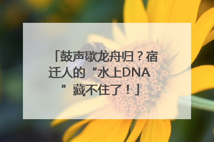 鼓声歇龙舟归？宿迁人的“水上DNA”藏不住了！
