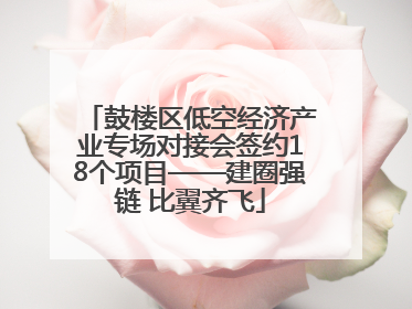 鼓楼区低空经济产业专场对接会签约18个项目——建圈强链 比翼齐飞