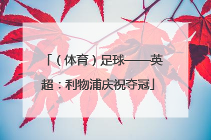 （体育）足球——英超：利物浦庆祝夺冠