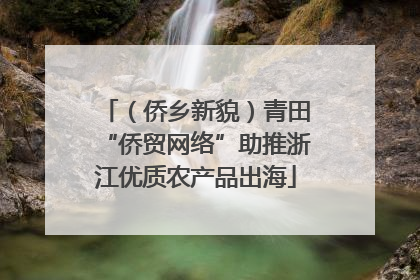 （侨乡新貌）青田“侨贸网络”助推浙江优质农产品出海