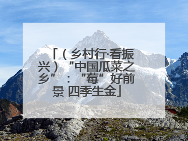 （乡村行·看振兴）“中国瓜菜之乡”：“莓”好前景 四季生金