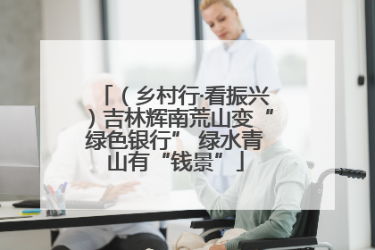 （乡村行·看振兴）吉林辉南荒山变“绿色银行” 绿水青山有“钱景”
