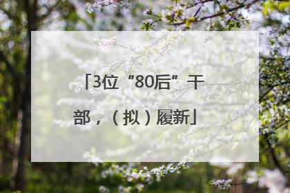 3位“80后”干部，（拟）履新