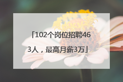 102个岗位招聘463人，最高月薪3万