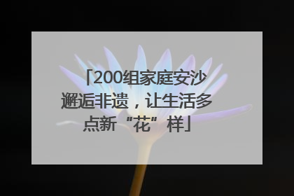 200组家庭安沙邂逅非遗，让生活多点新“花”样
