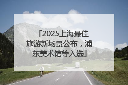 2025上海最佳旅游新场景公布，浦东美术馆等入选