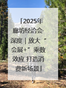 2025年廊坊经洽会·深度｜放大“会展+”乘数效应 打造消费新场景