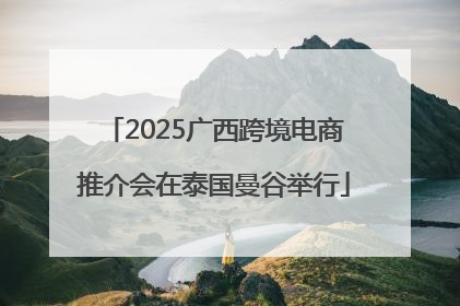 2025广西跨境电商推介会在泰国曼谷举行