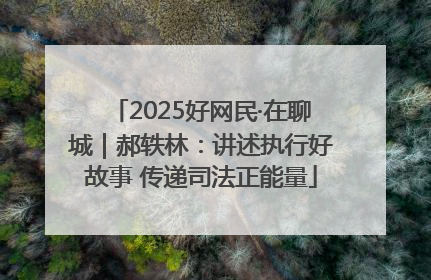 2025好网民·在聊城｜郝轶林：讲述执行好故事 传递司法正能量