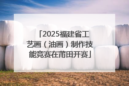 2025福建省工艺画（油画）制作技能竞赛在莆田开赛