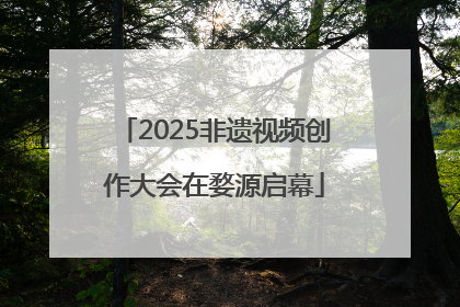 2025非遗视频创作大会在婺源启幕