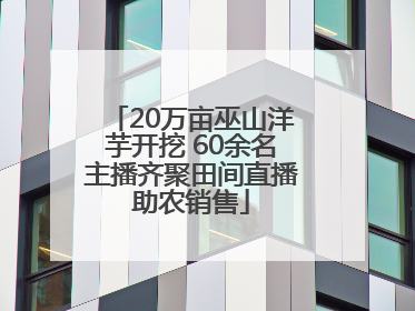 20万亩巫山洋芋开挖 60余名主播齐聚田间直播助农销售
