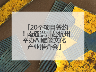 20个项目签约！南通崇川赴杭州举办AI赋能文化产业推介会