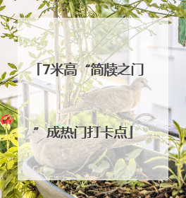 7米高“简牍之门”成热门打卡点