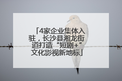 4家企业集体入驻，长沙县湘龙街道打造“短剧+”文化影视新地标
