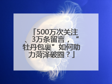 500万次关注、3万条留言，“牡丹包裹”如何助力菏泽破圈？