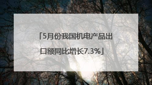 5月份我国机电产品出口额同比增长7.3%