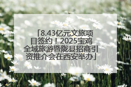 8.43亿元文旅项目签约！2025宝鸡全域旅游暨陇县招商引资推介会在西安举办
