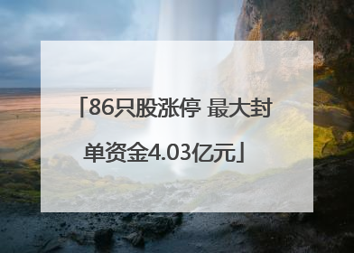 86只股涨停 最大封单资金4.03亿元