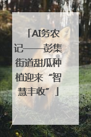 AI务农记——彭集街道甜瓜种植迎来“智慧丰收”