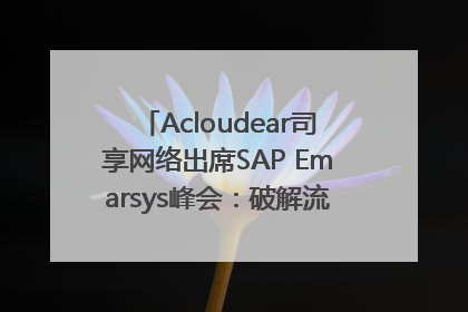 Acloudear司享网络出席SAP Emarsys峰会：破解流量困局，驱动精准增长